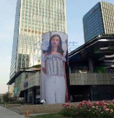 (sh)̈(chng)-(h)Ӯ(hu)